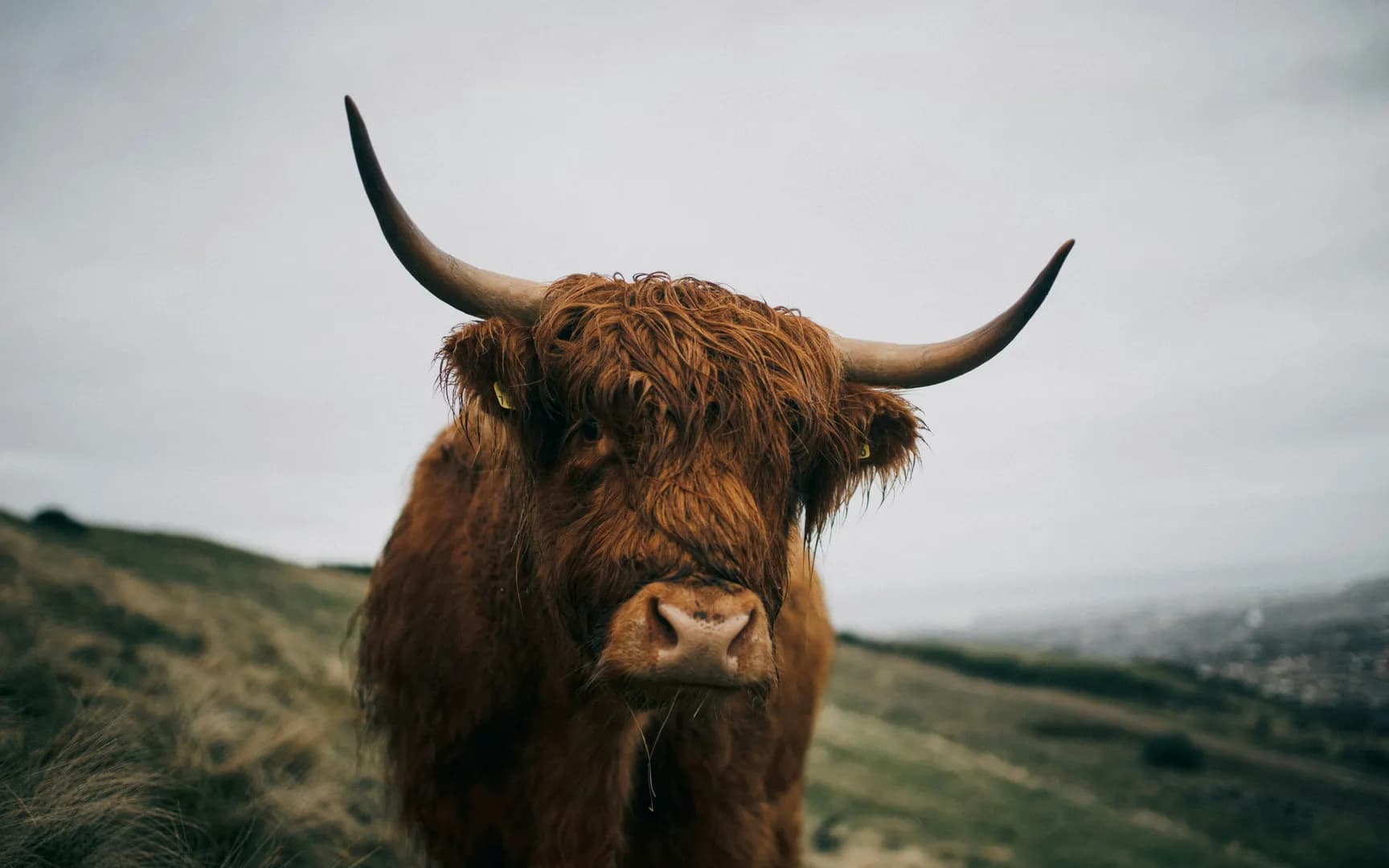 Tour group exploring Scotland